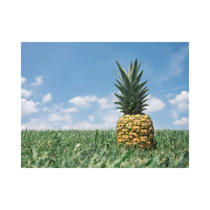 Small Marble Knife fr-FR